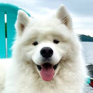 𝓳𝓪𝓴𝓾𝓫𝓮𝓺