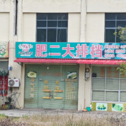 肥二大排档
