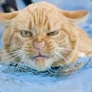 muz_j - steam id 76561197971064501