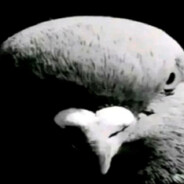 zakat1kkkk.xx.epicdrop