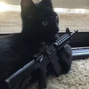 我的樱桃不见了