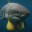 SharkJugs