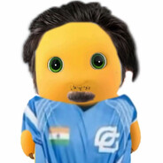 别骂我了真的笨