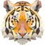 T1ger