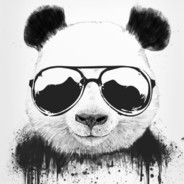P4nd4 - steam id 76561197961336654