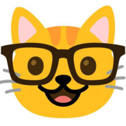 NERD CAT