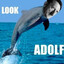 ADOLFIN