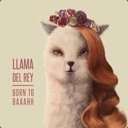 Llama del Rey