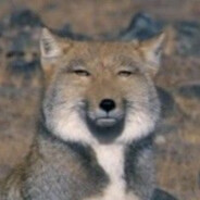 已老实，求放过