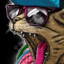 meow.