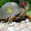 Soviet Turtle