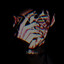 Avatar of Kiseji