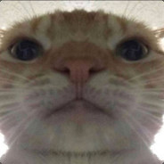 Kødsvælg