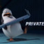 Private