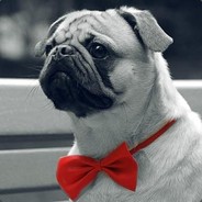 开坦克的贝塔✞