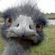 B!RD - steam id 76561197960702313