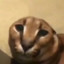 MOZHNO