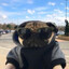 marshalmxi