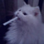 Maksim