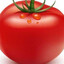 pomidor