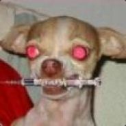 Roark - steam id 76561197971009877