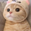 你也会为我着迷吗