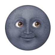 물만두 3000원 15개