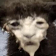 Знаю ЧифКифа