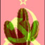 Kaktuspic
