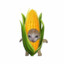 corn cob steve