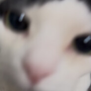 没有开枪的义务