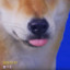 qwertytrewq