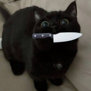 пуссиджуси