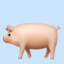 piggy in the tank