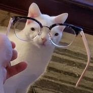 Matchicoloavatar