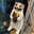 Yuki