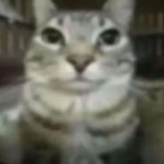 西部菱斑响尾蛇