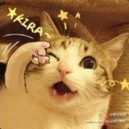 有朝一日剑在手！