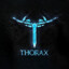 Thorax