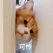 我要是有钱该多好