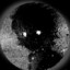 shxprr's avatar