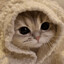 Cute Femboy's avatar