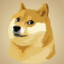 Doge