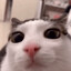 yungweaselfps