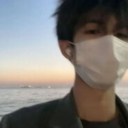 晚风与她皆温柔