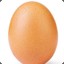 World record egg
