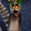 King Julien