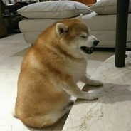 PREPARE TO BEND OVER