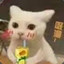 璎珞同学
