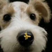 我把舌头伸进她嘴里却尝到了熟悉牛子的味道